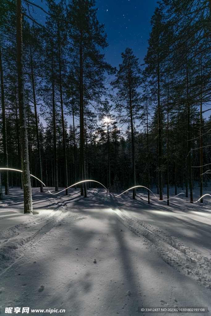 雪地