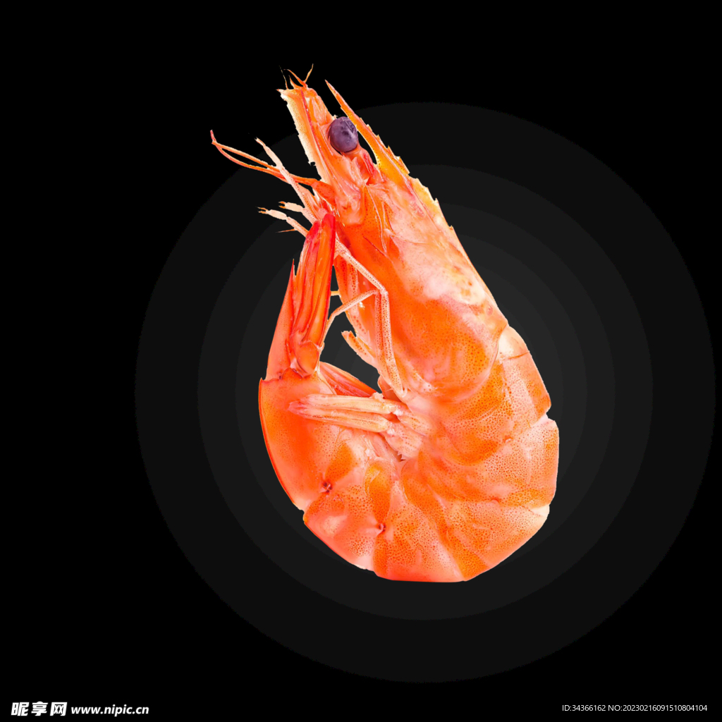 虾米