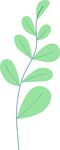 植物插画矢量素材