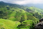 层峦叠翠山峦上的梯田