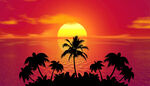 落日下的海边椰树剪影摄影