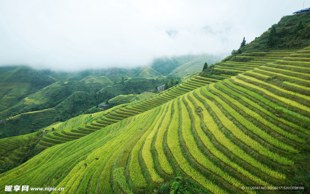 大山坡上的美丽梯田