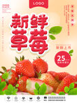 草莓