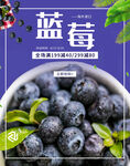  蓝莓