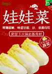 娃娃菜