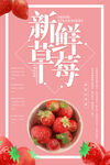 草莓