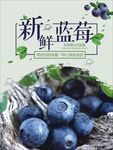 蓝莓