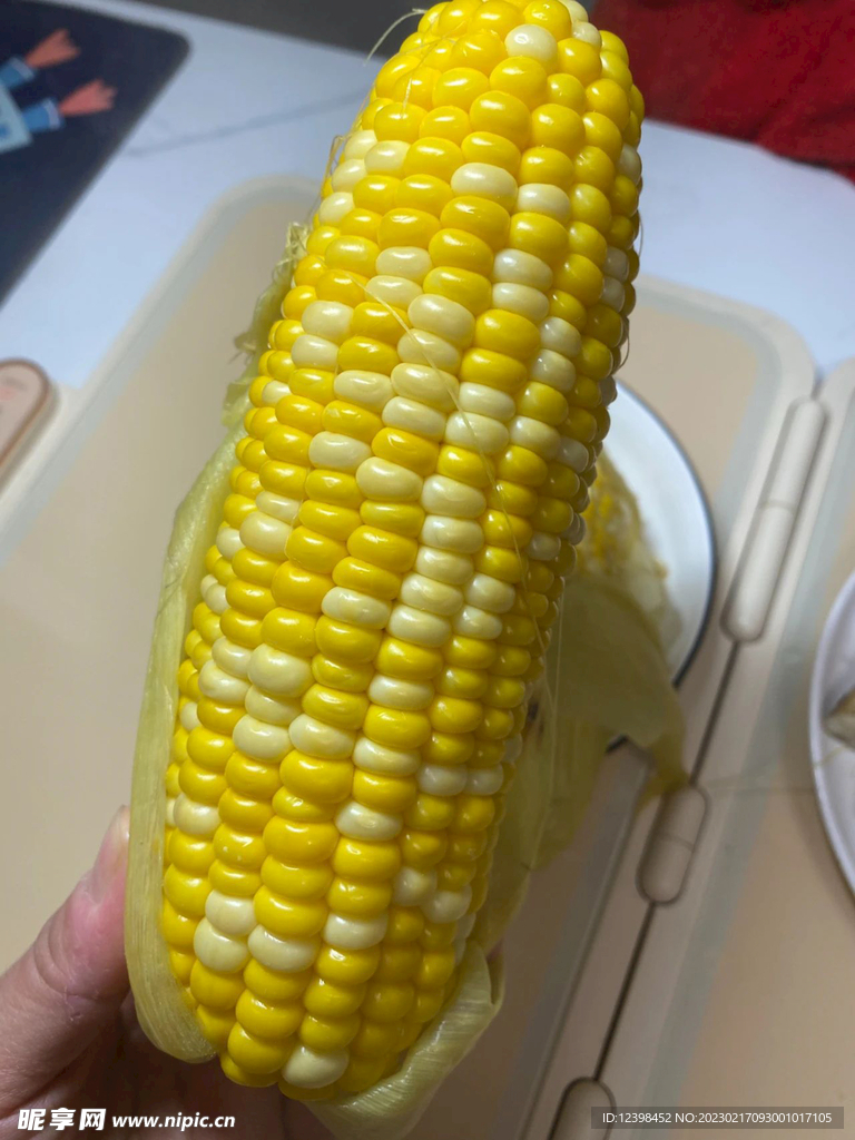 玉米