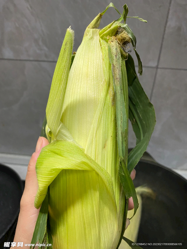 玉米