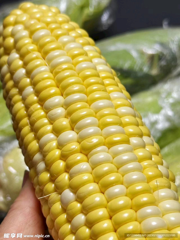 玉米