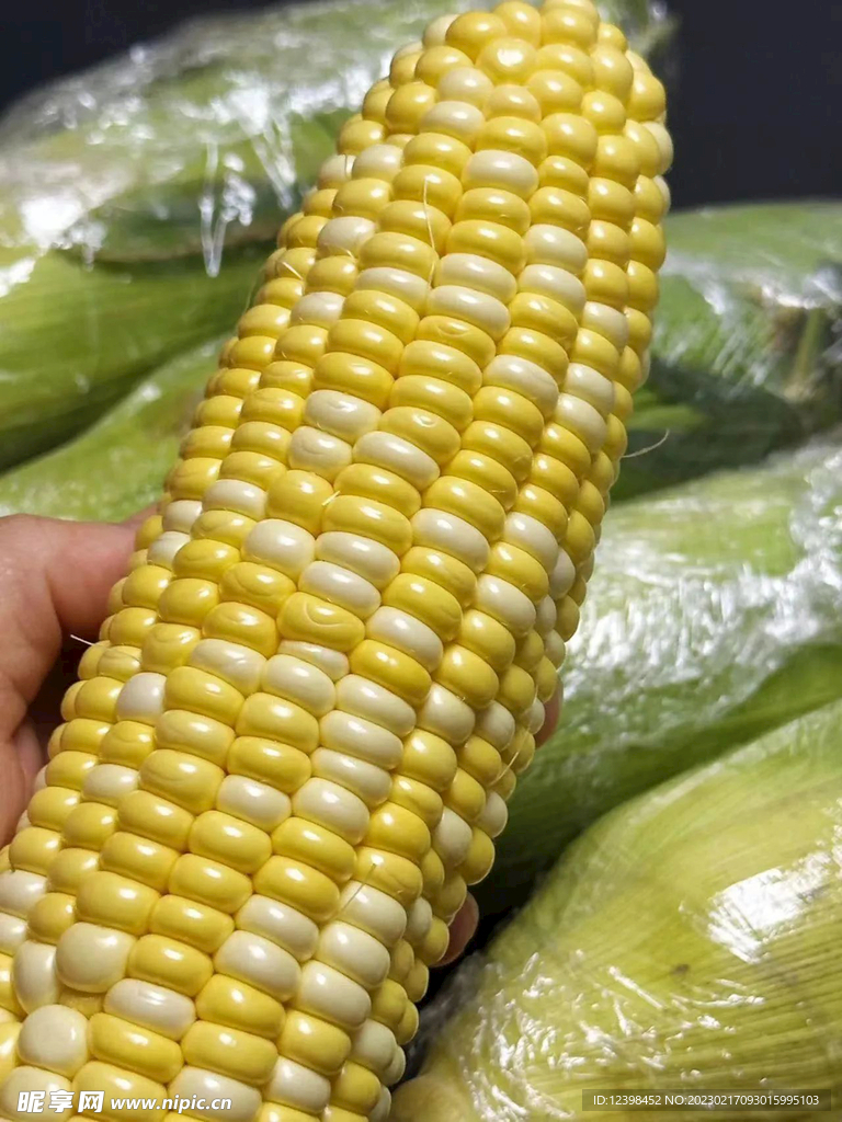 玉米