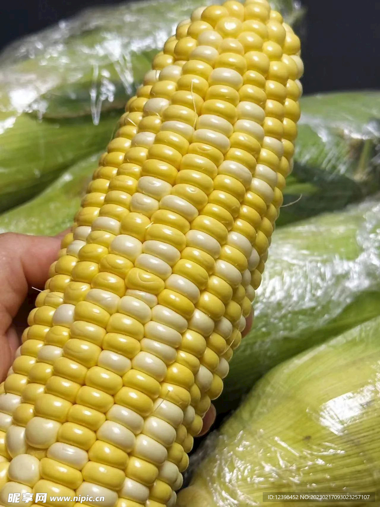玉米