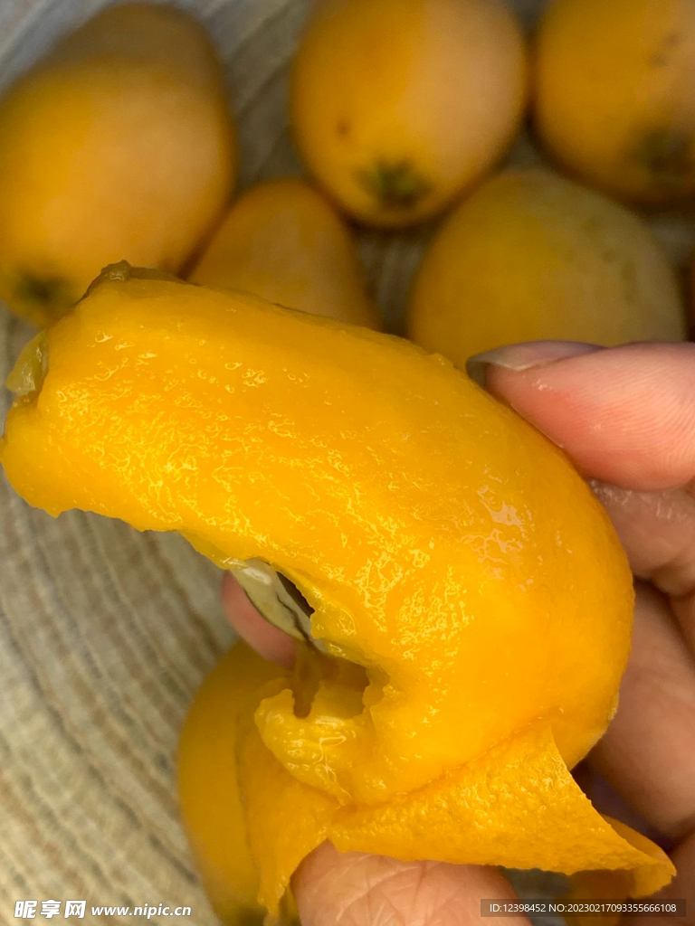 枇杷