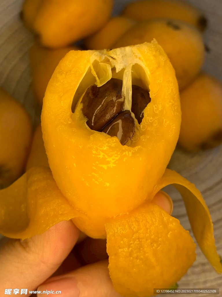 枇杷