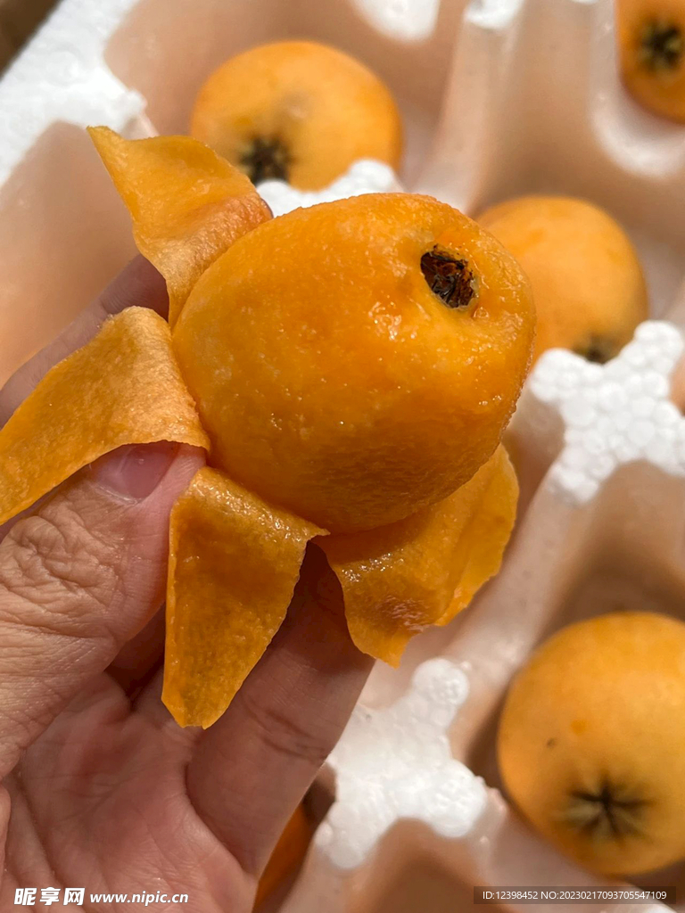 枇杷