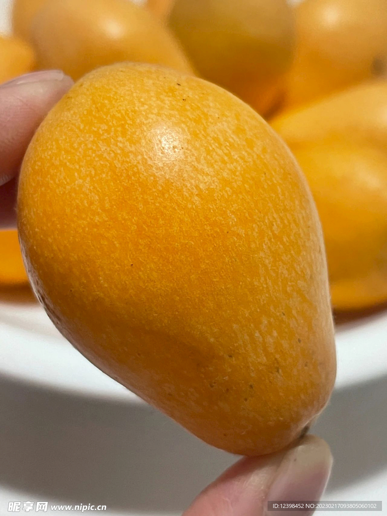 枇杷