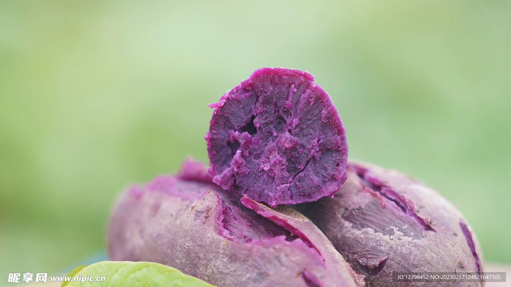 紫薯