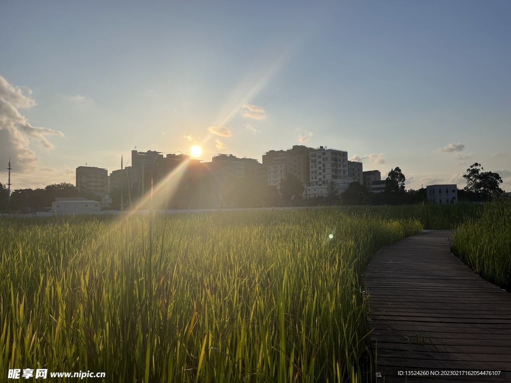 夕阳下的城市