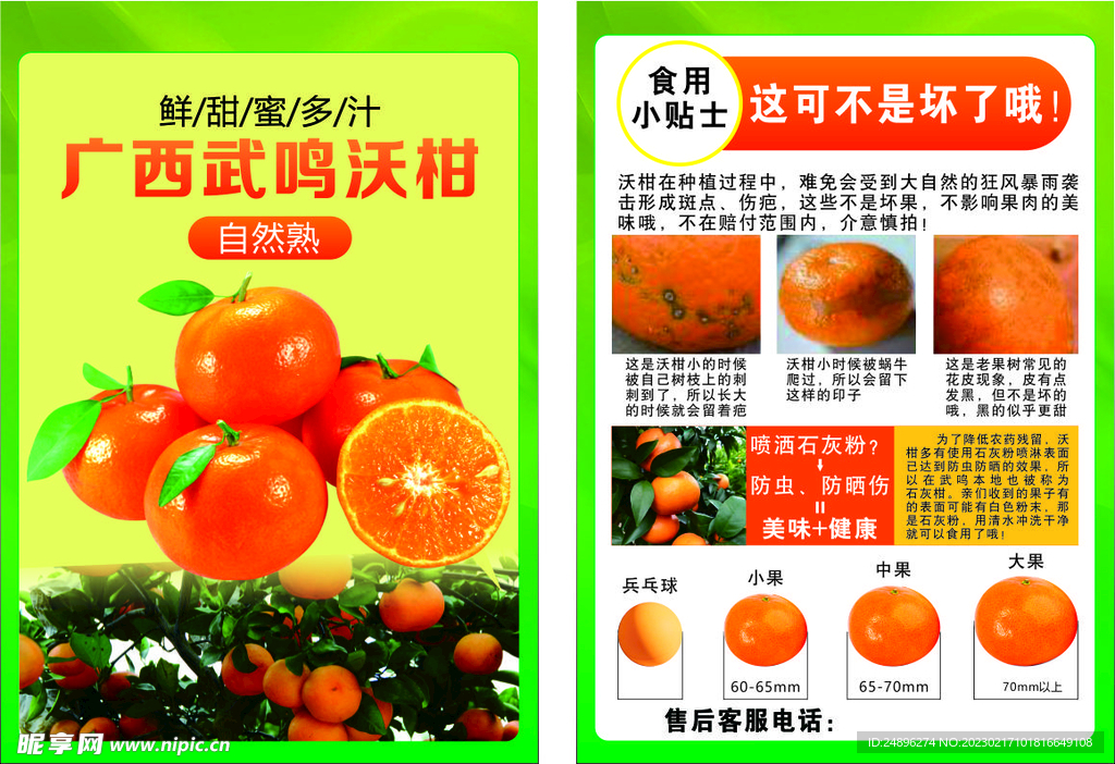 沃柑DM