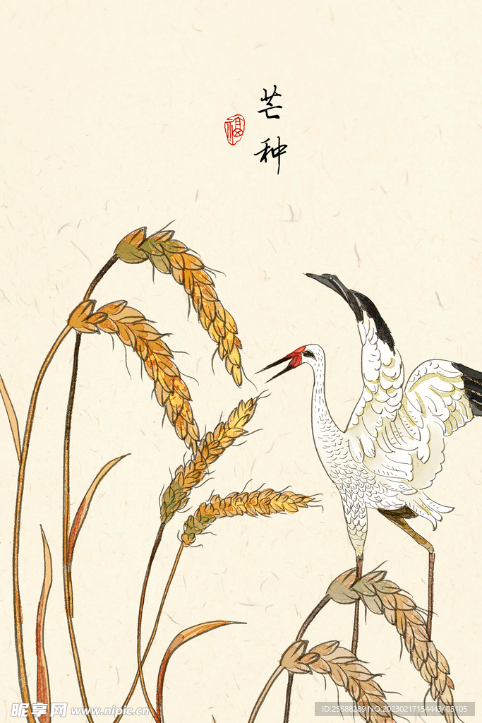 芒种