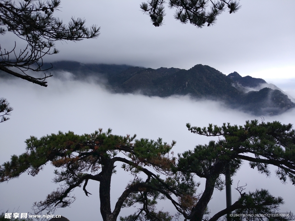 山顶云海