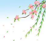  花枝 