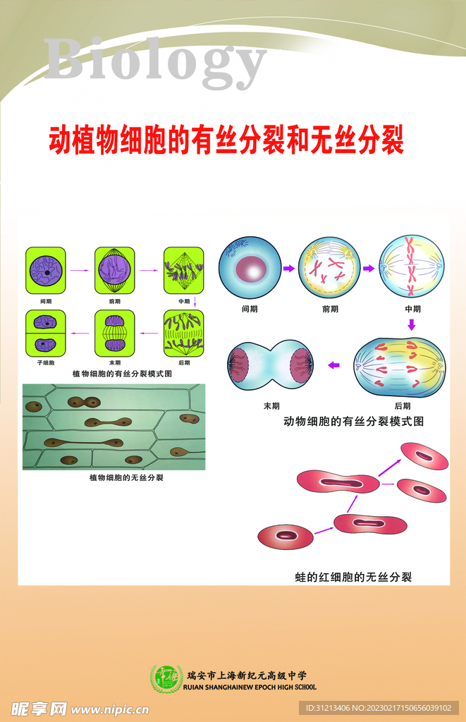 生物知识展板图片