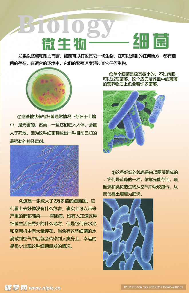 生物知识展板图片