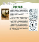 生物知识展板图片