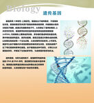 生物知识展板图片