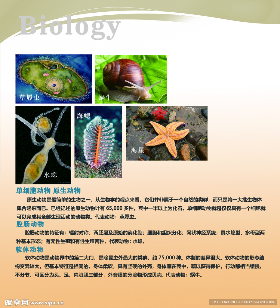 生物知识展板图片