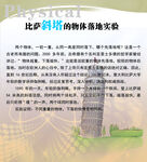 物理知识展板图片
