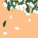  花枝 