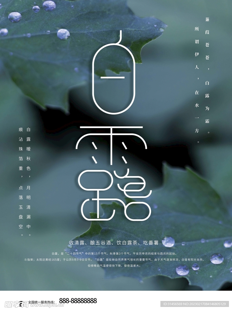 白露