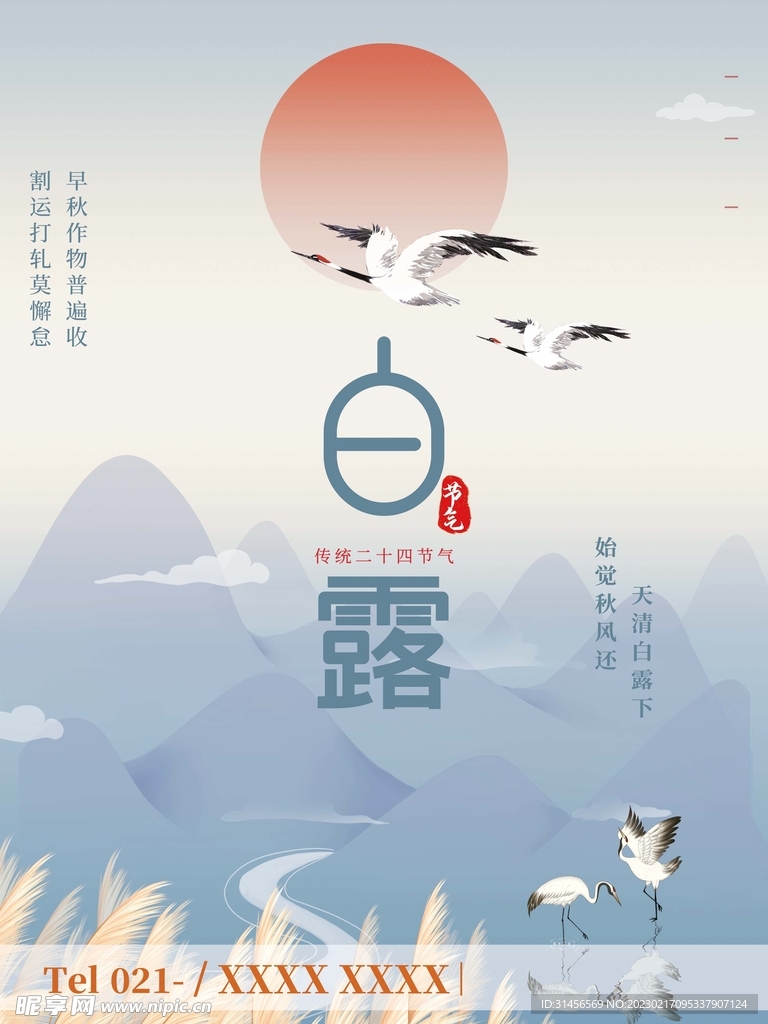 白露
