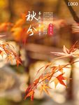 秋分