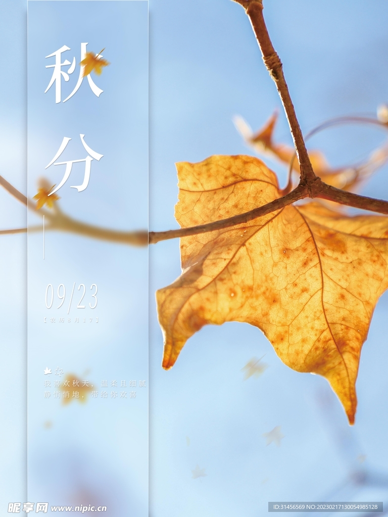 秋分