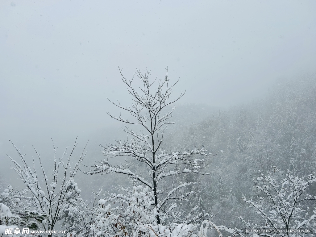 雪