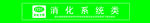 消化系统类