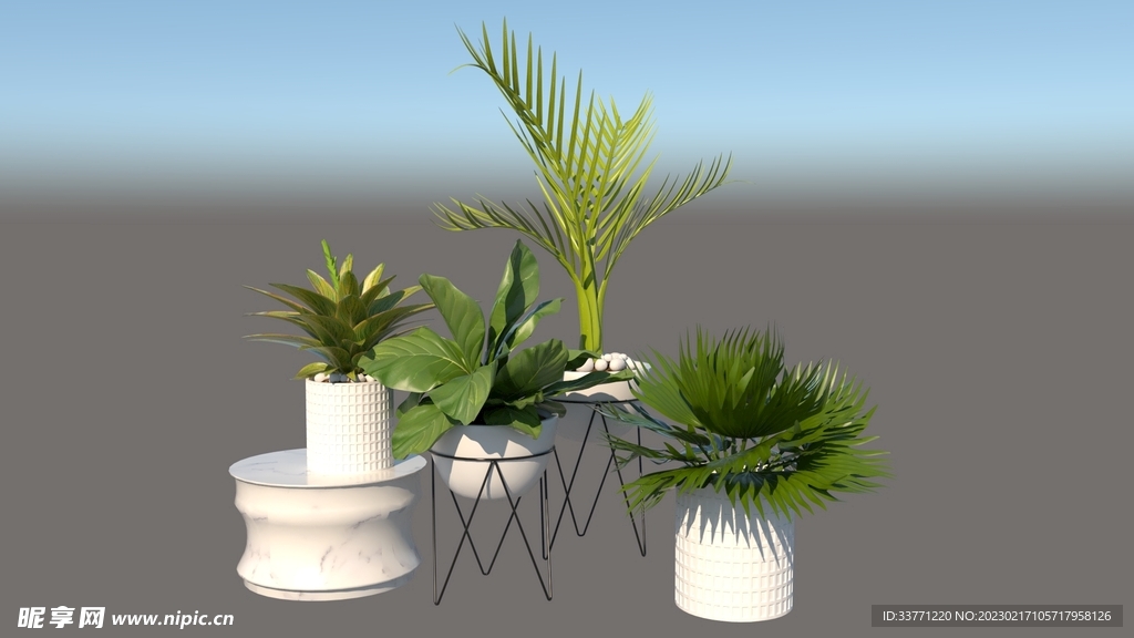 盆栽植物模型