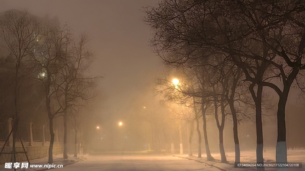 雪景