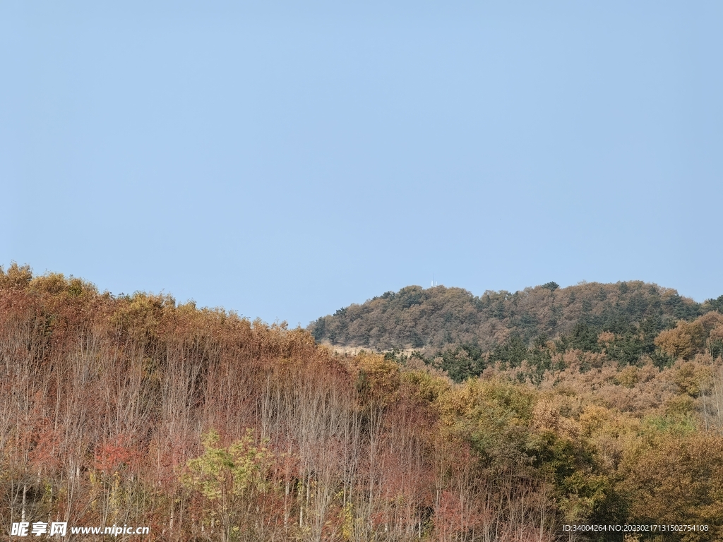 风景