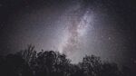 树林与点点繁星的夜空