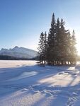 冬季白色雪地雪山树木图片
