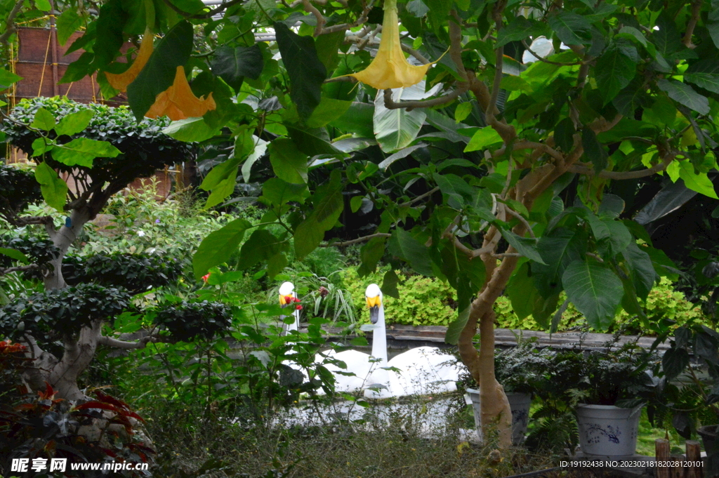 温室花草风景 