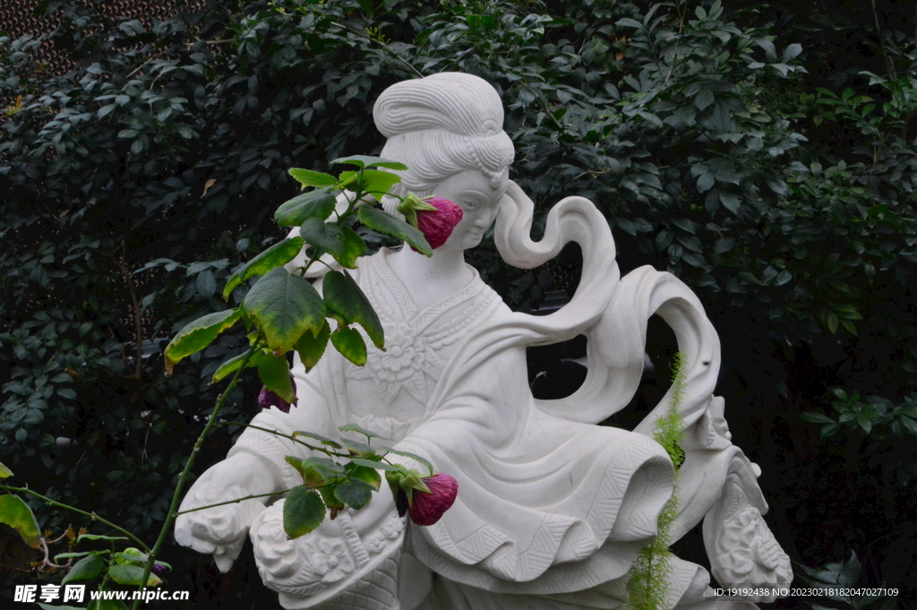 温室花草风景 