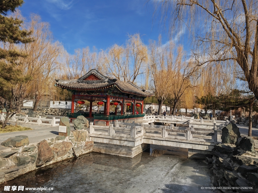 大观园风景 