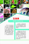 高中生物