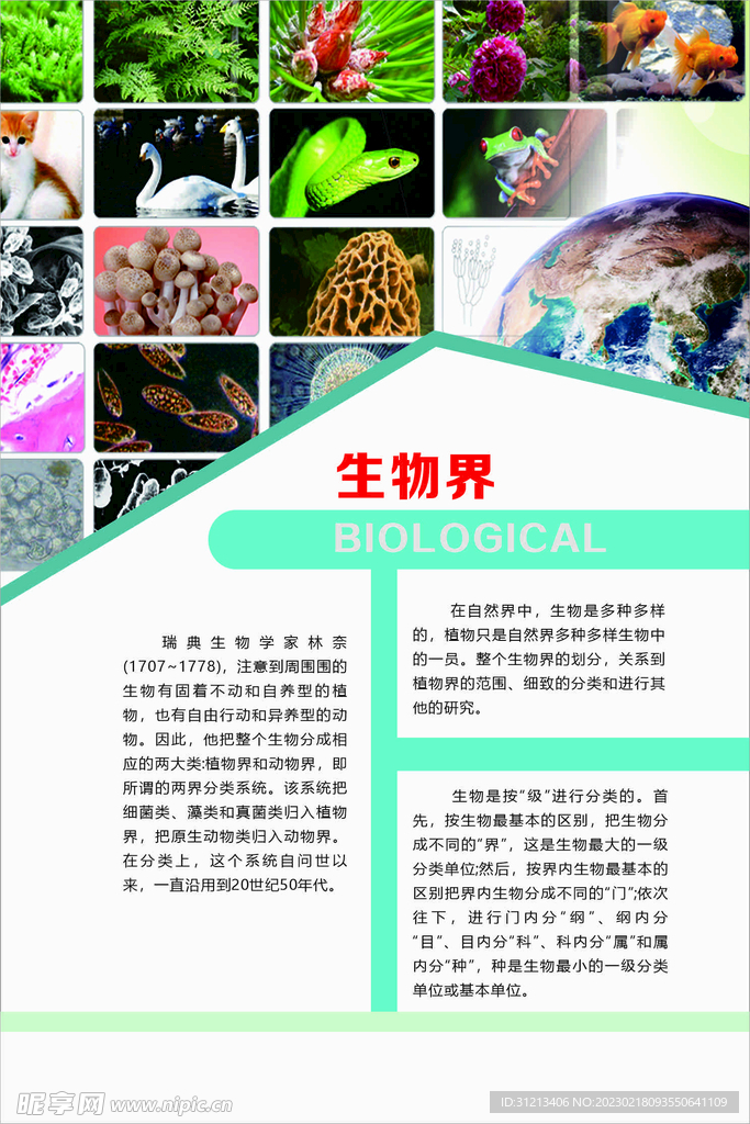 高中生物