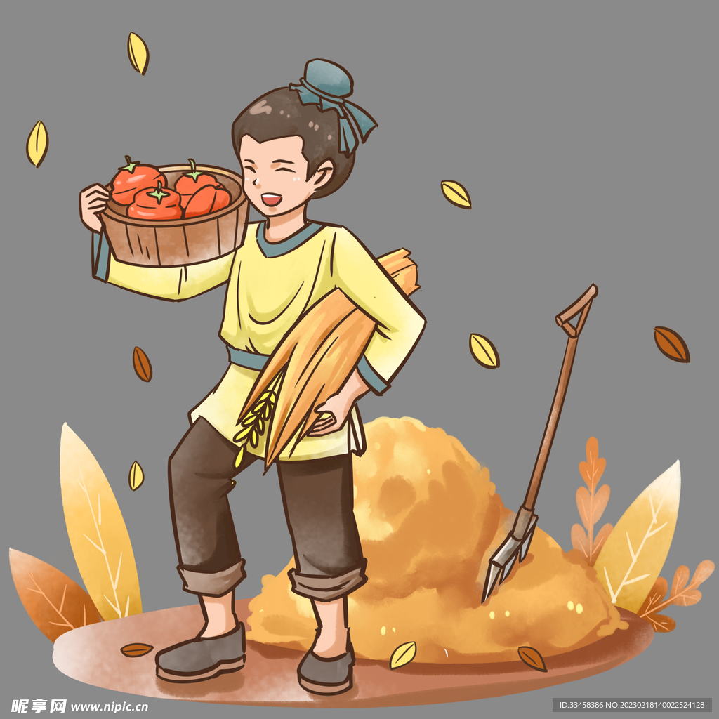 收柿子